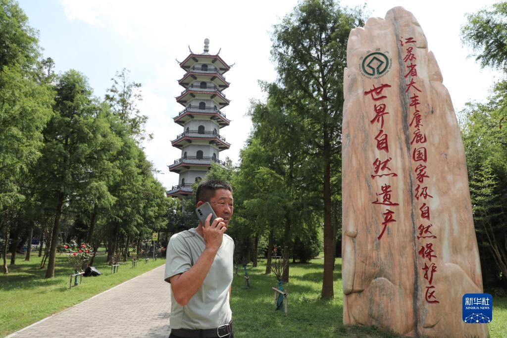 博乐城官网